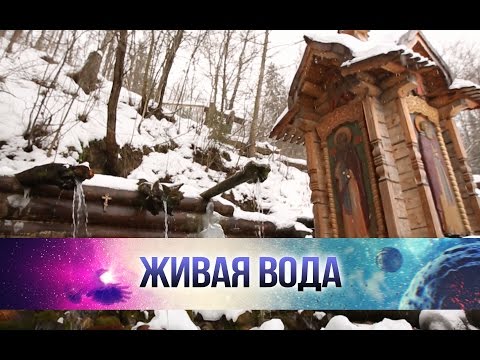 Видео: Какие болезни лечит Гремячий ключ под Сергиевым Посадом в Подмосковье?