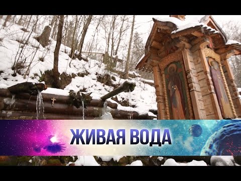 Видео: Какие болезни лечит Гремячий ключ под Сергиевым Посадом в Подмосковье?