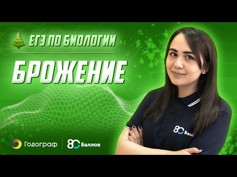 Видео: ЕГЭ по Биологии 2022. Брожение