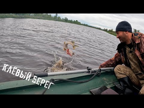 Видео: 🔥🔥🔥Рыбалка получилась шикарная. Рыба сама прыгает в лодку. 😱Природа. Отдых. 😊👍#рыбалка #отдых