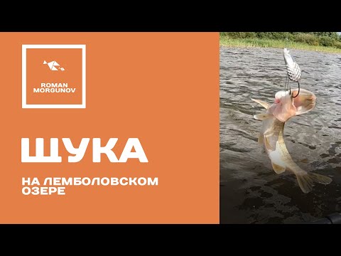 Видео: Щука на колебалку. Хищники Лемболовского озера 2023. Рыбалка с лодки в Ленинградской области.