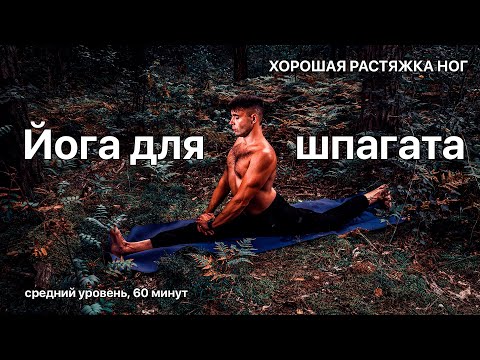 Видео: Йога для продольного шпагата: путь к гибкости за 60 минут