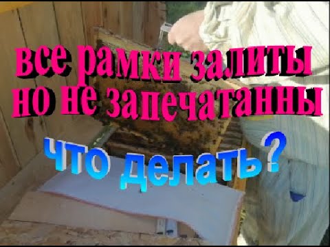 Видео: Что делать если в лежаке все рамки залиты но не запечатанные