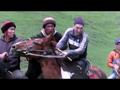 Видео: 7 июня 2023 г.