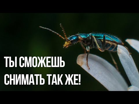 Видео: Макро фото без макро объектива! - Ренат Мансуров