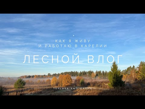 Видео: ЛЕСНОЙ ВЛОГ #1 | Жизнь и работа в Карелии