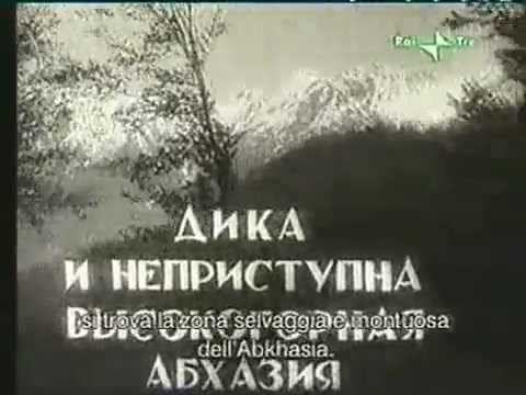 Видео: Ткварчели 1935