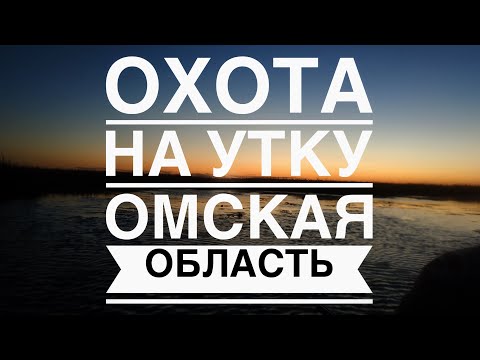 Видео: Осенняя охота на утку в Омской области Саргатка или как мы стрелять разлучились