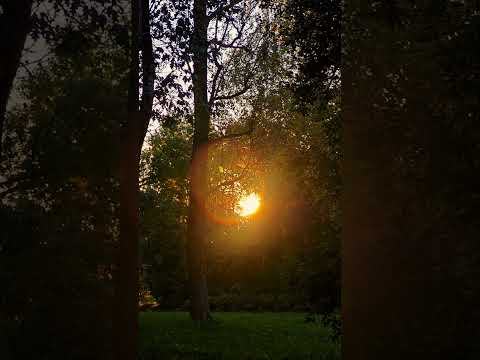 Видео: Блюз осенней Новой Вильни