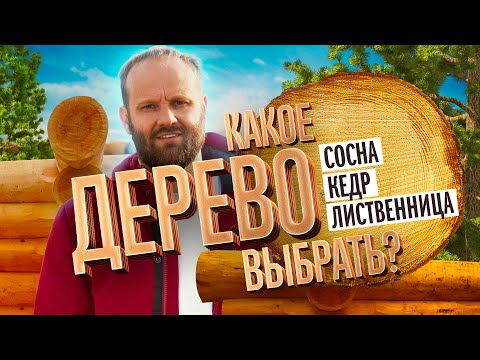 Видео: Кедр, Лиственница и Сосна. Из какой Породы Дерева строить Дом и Баню?