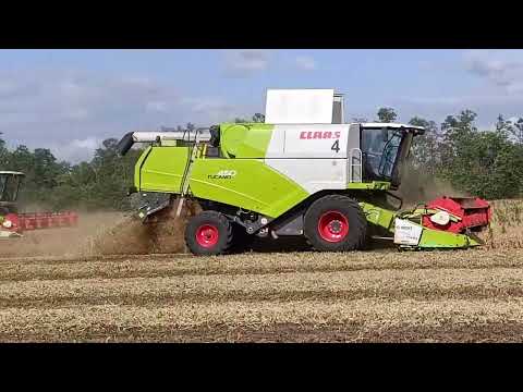 Видео: Уборка 2025 Claas tucano 450 & John Deer