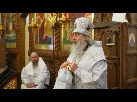 Видео: Слово митр. Арсения на погребении схиархиеп. Алипия в Покровском монастыре Лимана 4.11.21 г.