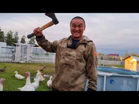 Видео: Пикачу пока 😥