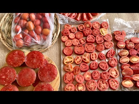 Видео: Қыстың қамын жазда ойла! Қысқа ҚЫЗАНАҚТЫ сақтаудың 5 әдісі!
