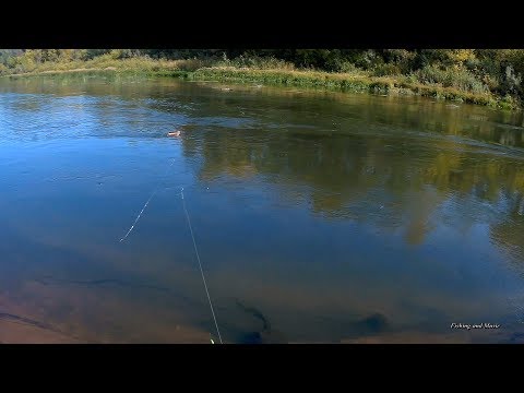 Видео: Эксперимент с корабликом на реке Самара. Кораблик с воблерами. Хищник на живца. #5
