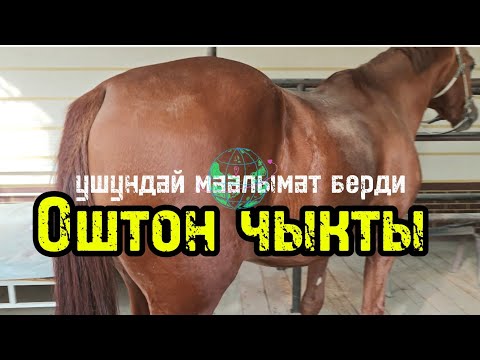 Видео: Оштон чыкты ушундай маалымат болду 
