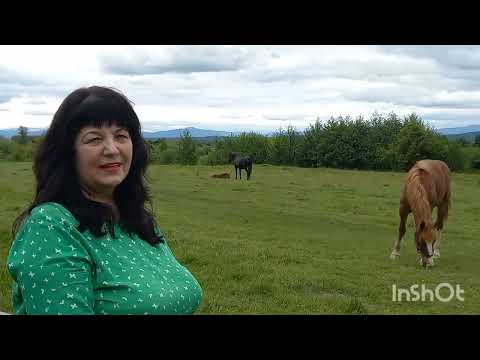 Видео: Чоловічий  монастир  в Закарпатті. 