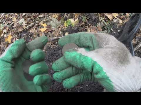 Видео: ДЕД ХАБАР ОПЯТЬ РАСЩЕДРИЛСЯ НА МОНЕТУ...