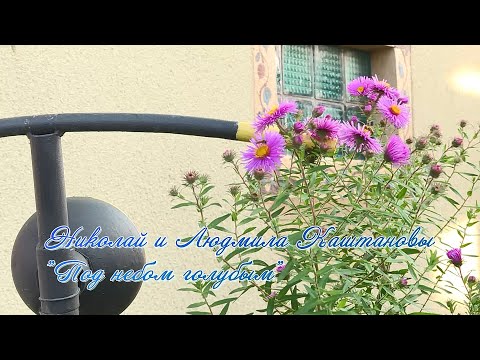 Видео: "Художники Гжели". Фильм пятый "Под небом голубым"