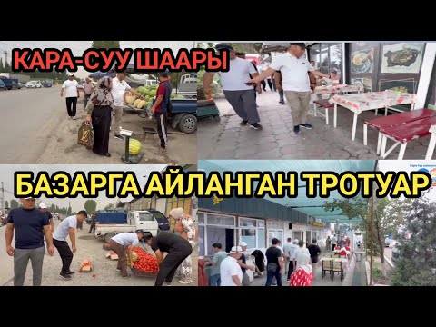 Видео: КАРА-СУУ: ЖОЛДОГУ СООДА ЖАЙЛАРЫ ТАРТИПКЕ САЛЫНАТ