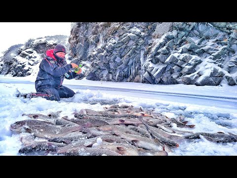 Видео: НАЛОВИЛИ АЖ ПОДНЯТЬ НЕ СМОГЛИ! ЭТО УЩЕЛЬЕ ЗАБИТО РЫБОЙ! Рыбалка в АРКТИКЕ.