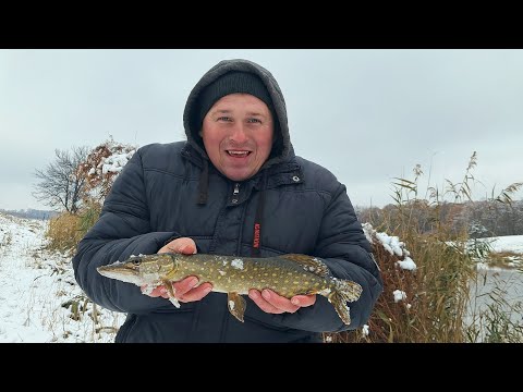 Видео: СПІНІНГОВА РИБАЛКА ПЕРЕД КРИГОЮ /ЩУКА НА СИЛІКОНОВІ ПРИМАНКИ#щуканаспінінг#окунь
