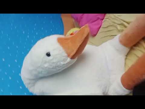 Видео: влог с гусём.https://t.me/treeeeeeeeeeesh123568 и https://t.me/ro9hi подписочку туда🥶❤️‍🔥🌹😔