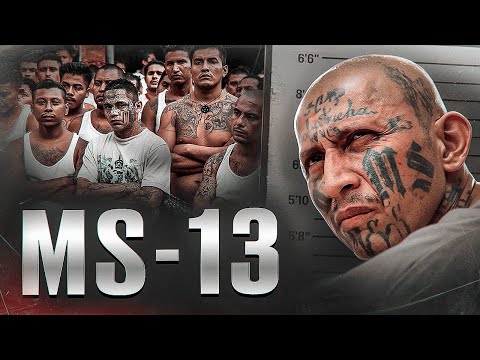 Видео: САМАЯ ЖЕСТОКАЯ БАНДА В МИРЕ - Мара Сальватруча [МС 13]