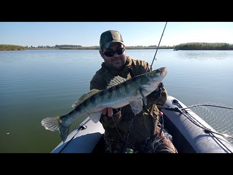 Видео: где судак осенью