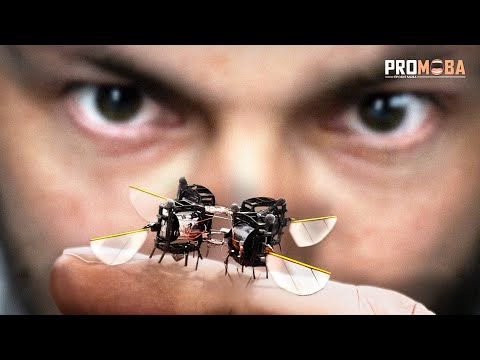 Видео: ДЛЯ ЧОГО СТВОРЮЮТЬ РОБОТІВ-КОМАХ? [VERITASIUM]