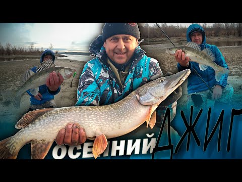 Видео: ПРОДОЛЖАЕМ ЗАКРЫВАТЬ СЕЗОН СПИННИНГА /  РЫБАЛКА ПОЗДНЕЙ ОСЕНЬЮ НА ДЖИГ В НОВОСИБИРСКЕ.