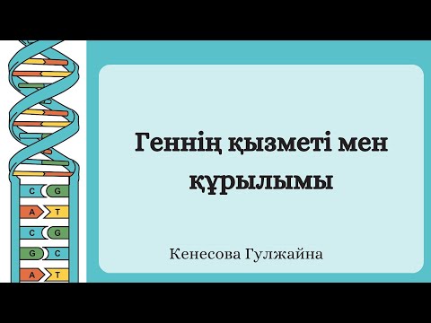 Видео: Геннің Қызметі Мен Құрылымы | қазақша