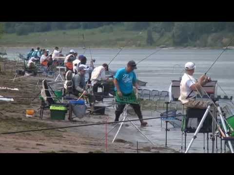 Видео: Чемпионат Ярославской области по фидеру на призы РОРС 2015