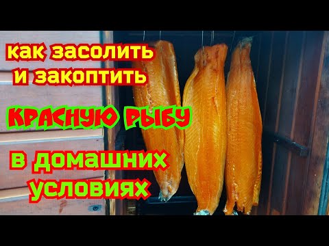 Видео: Лосось холодного копчения в домашних условиях.Рецепт как засолить красную рыбу форель, горбушу,кижуч