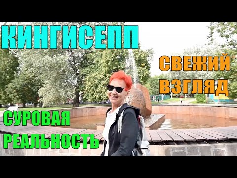 Видео: Кингисепп. Экскурсия по городу. Ленинградская область