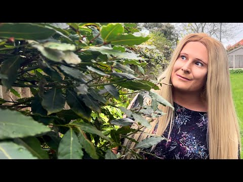 Видео: ПАРОДИЯ НА ПЛАНТЕРИНУ