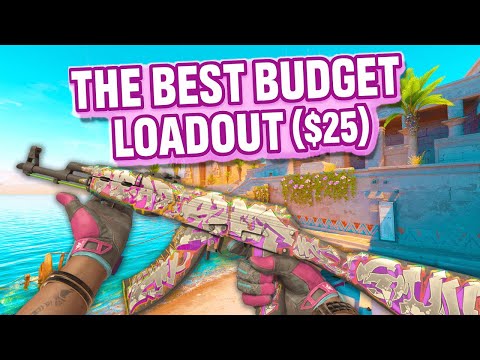 Видео: ЛУЧШИЙ И САМЫЙ ДЕШЕВЫЙ комплект для CS2 (ВСЕГО 25 $)