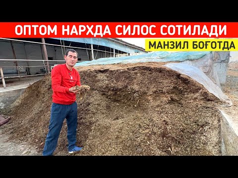 Видео: ОПТОМ СИЛОС СОТИЛАДИ МАНЗИЛ БОҒОТДА !!! ХОРАЗМ БОЗОР 