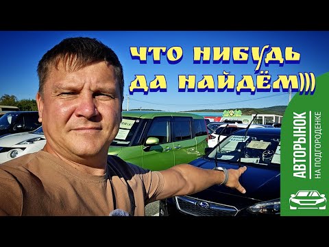 Видео: #автоподбор ЧТО НИБУДЬ ДА НАЙДЁМ