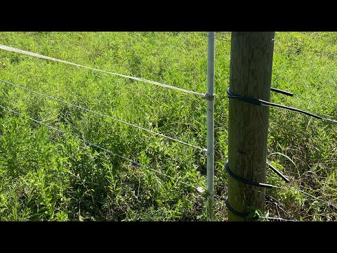 Видео: Лучшие электрические ворота для ограждения овец и коз