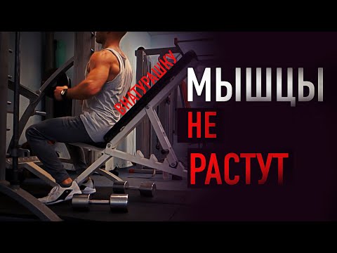 Видео: НЕ РАСТУТ МЫШЦЫ (ЭКТОМОРФ)