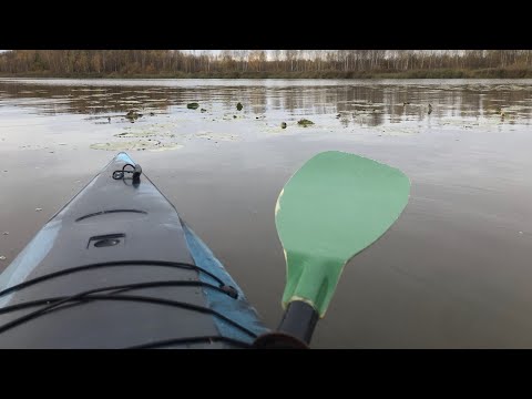 Видео: Ярославль. Прогулка на каяке по реке Солоница.