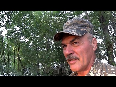 Видео: Выезд на Актюбинское ВДХР отдых природа рыбалка  г Актобе 2023г