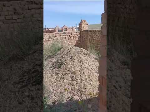 Видео: Ата - анамның зират басында.