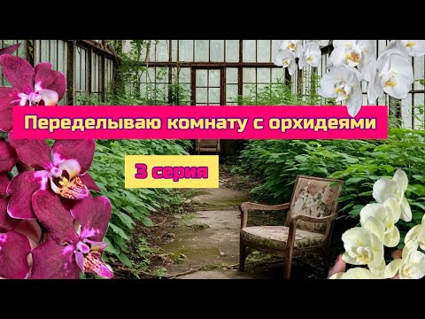 Видео: Ремонт в комнате с орхидеями 3 серия . Растения в интерьере #орхидеи #фаленопсис #квартирныйвопрос