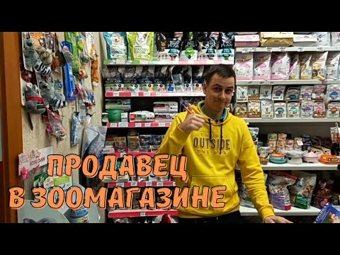 Видео: Работа в зоомагазине, что надо знать?