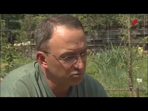 Видео: Альтернативный сад 2 серия делянки система полива мульча