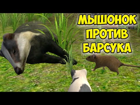 Видео: 😍СИМУЛЯТОР МЫШИ🐁Мышонок против барсука Ухаживаю за питомцем