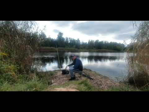 Видео: 30.09.25 Рыбалка на донки. Влетел трофей!