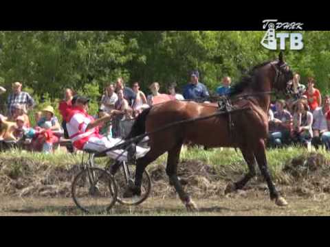 Видео: Конные бега   Успенский ипподром